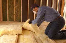 Eco-Friendly or Green Insulation Solutions in Village St George, LA